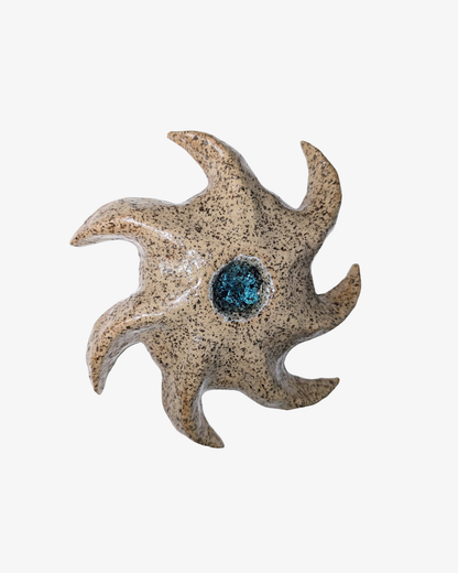 Wall art SEA STAR