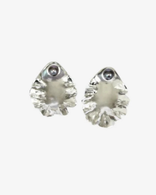 Oysters, silver earrings