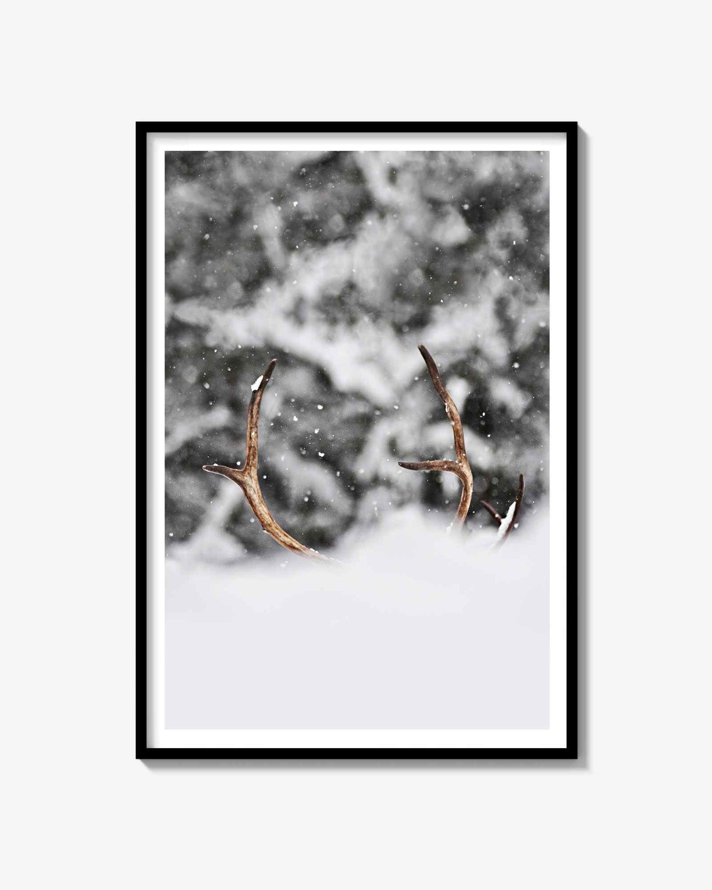 Stående Rensdyr Print