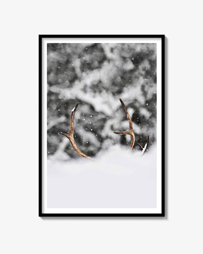 Stående Rensdyr Print