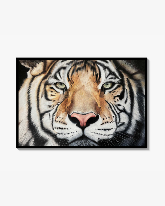 TIger - Signeret og nummereret Fine Art Print (fra originalt maleri)