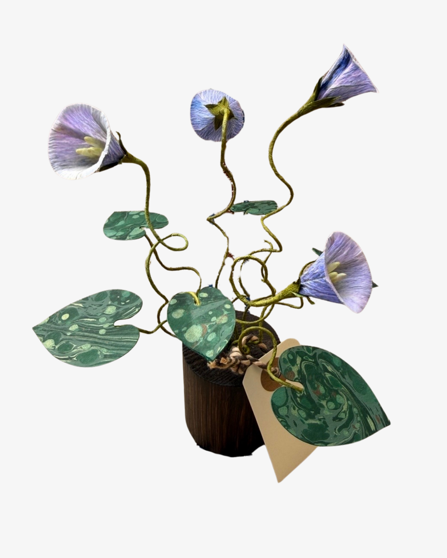 Morning Glory plant Sculpture