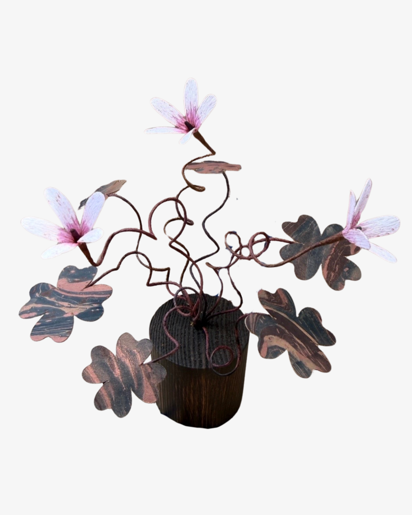 Oxalis plant Sculpture