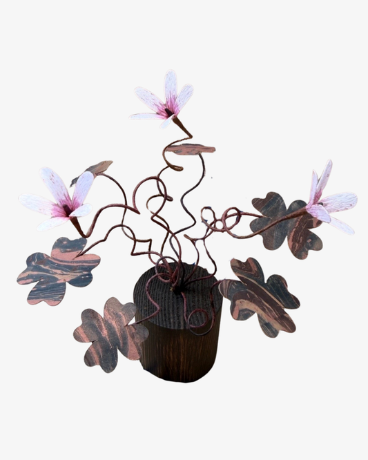 Oxalis plant Skulptur