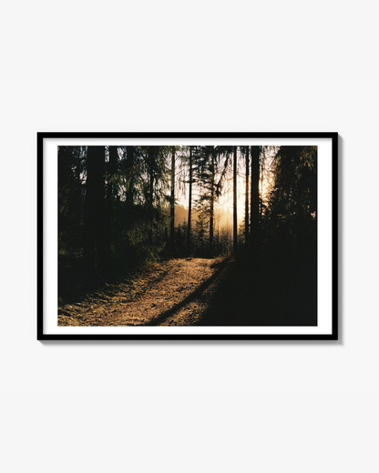 Skogen print