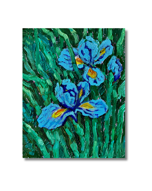 Iris Original
