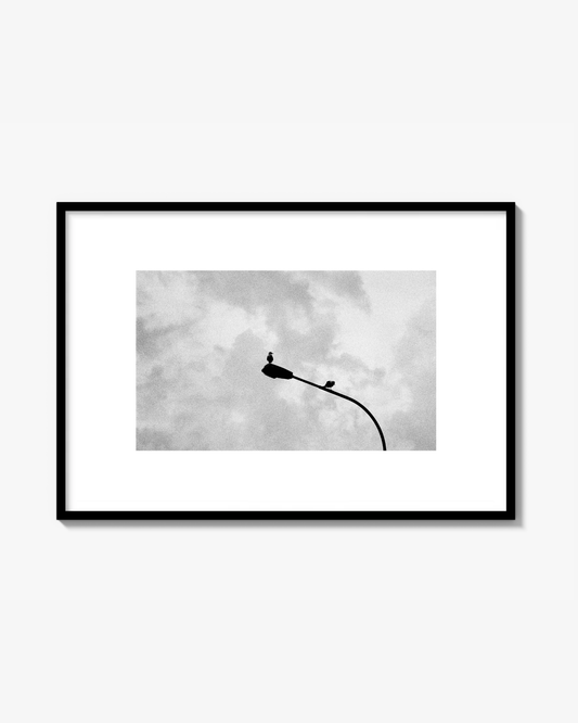 What Ya Lookin' At - Print