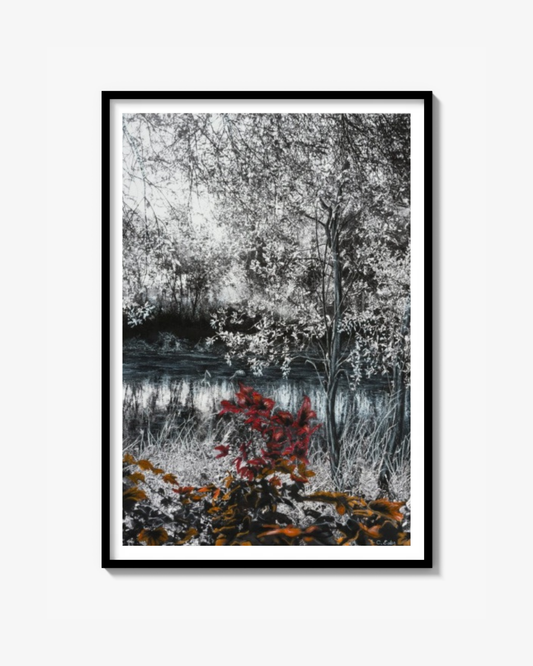 Flourish (Landscape), Art Quality Poster