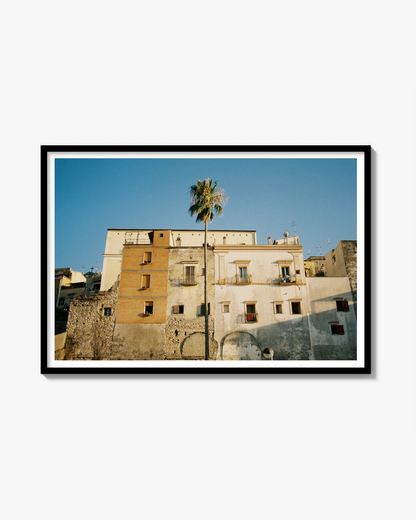 Golden Hour Print