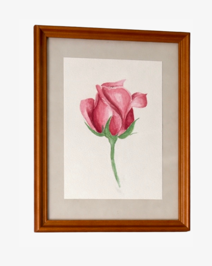 Pink Rose - Original Watercolor Painting