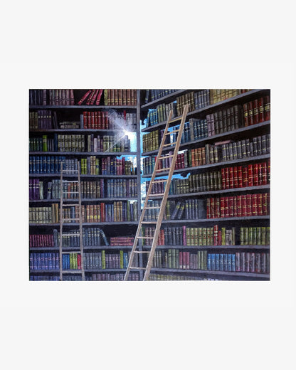 Books and Ladders Maleri