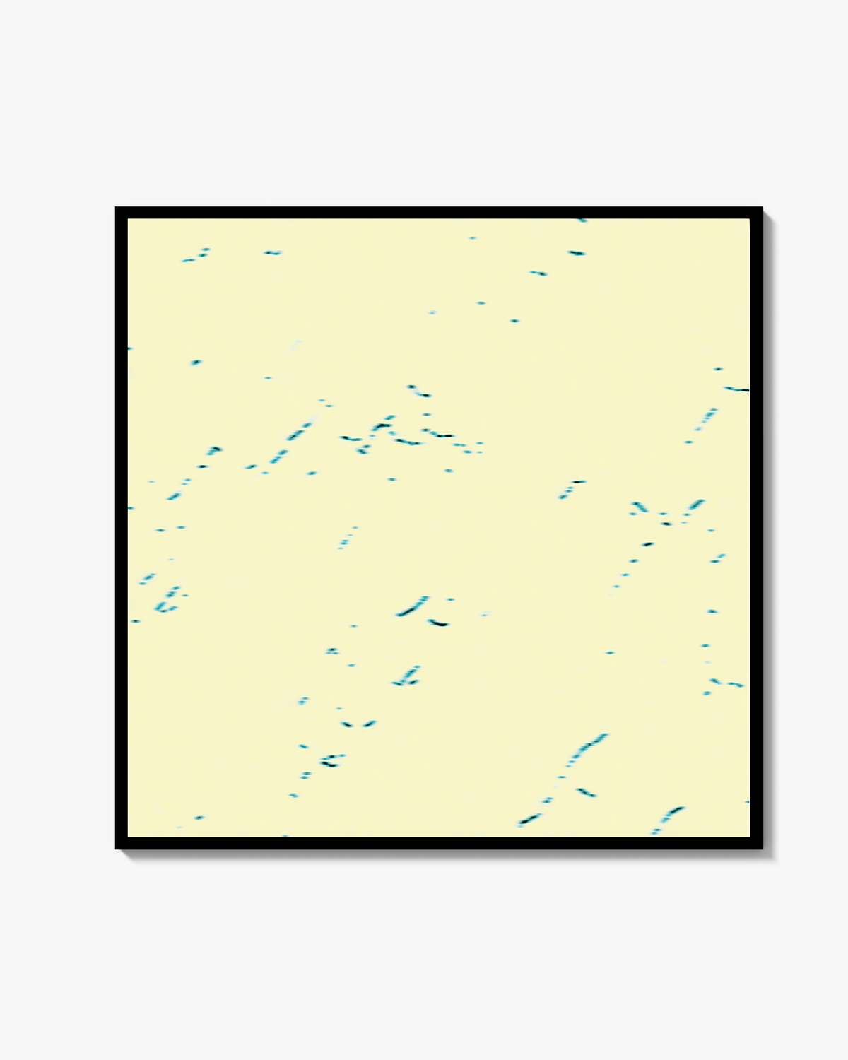 Traces 001 Print