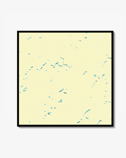 Traces 001 Print