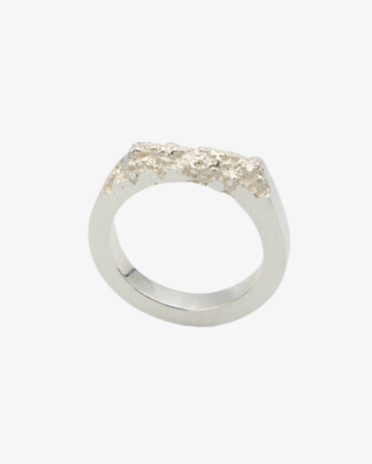 Struktur Ring