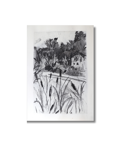 Comfort of cattail Original