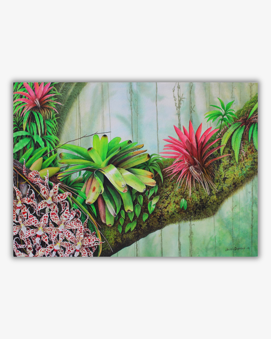 Watercolour - Tropical Canopy