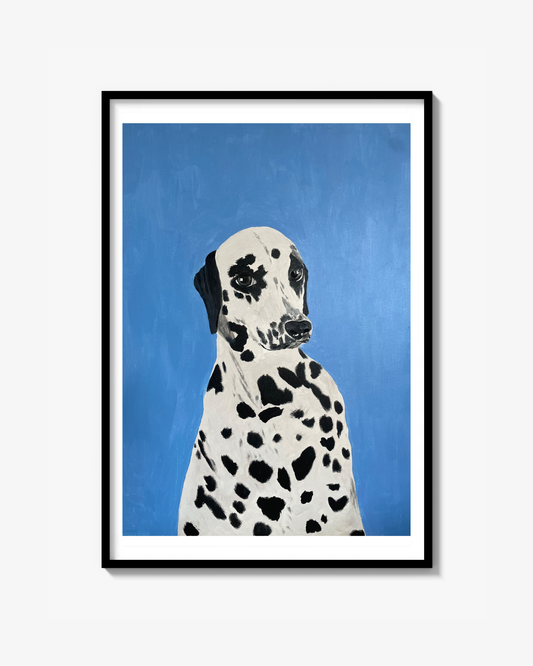 Dalmatian Poster