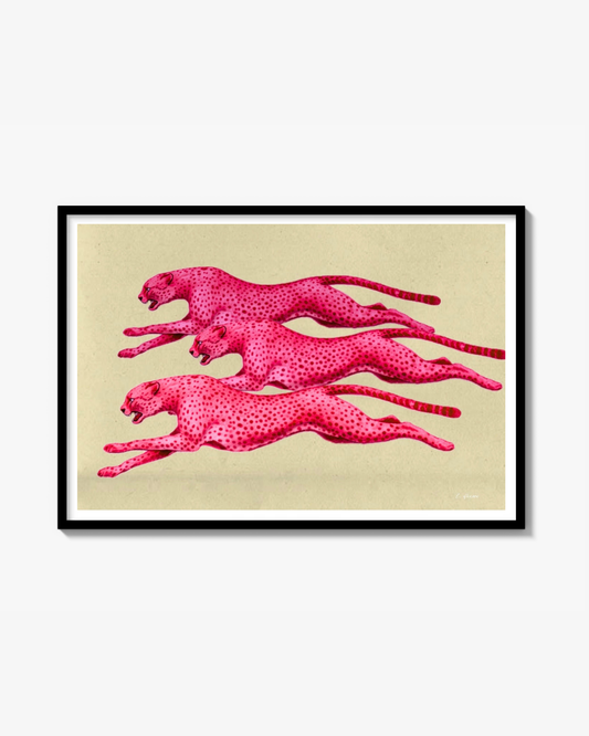 Racing pink panthers Poster