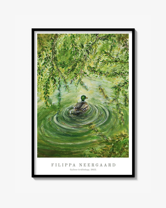 Poster - Gyllene kvällsdopp