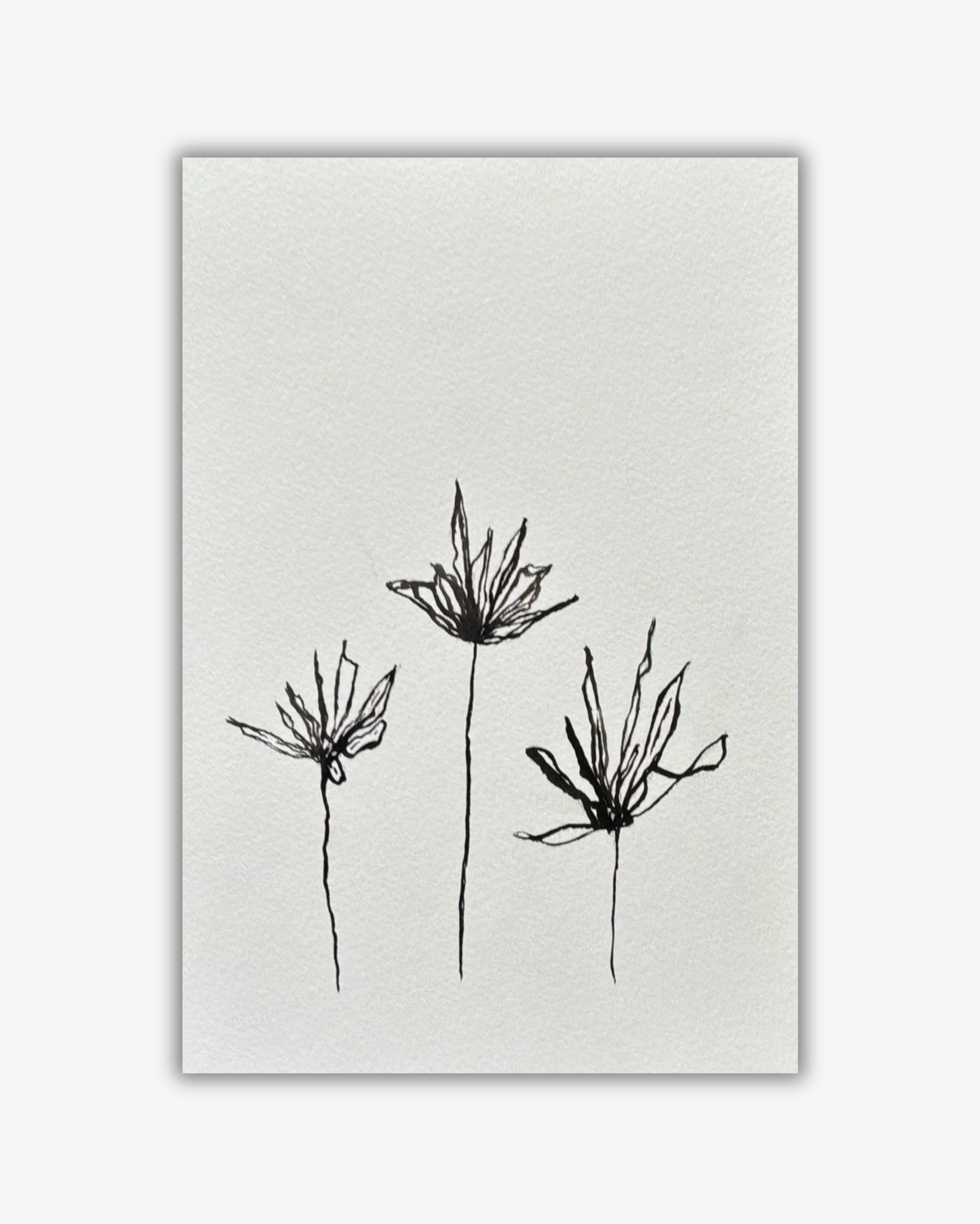 Still Growing Original
