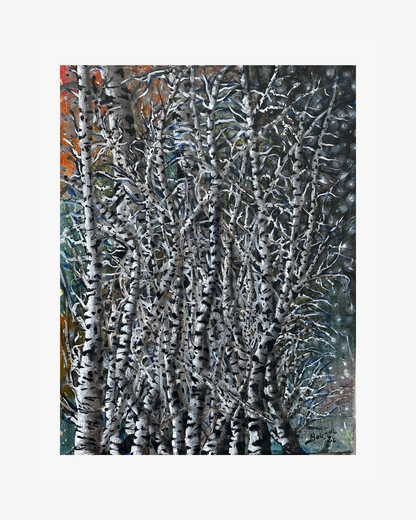 Wild birches - oil on canvas
