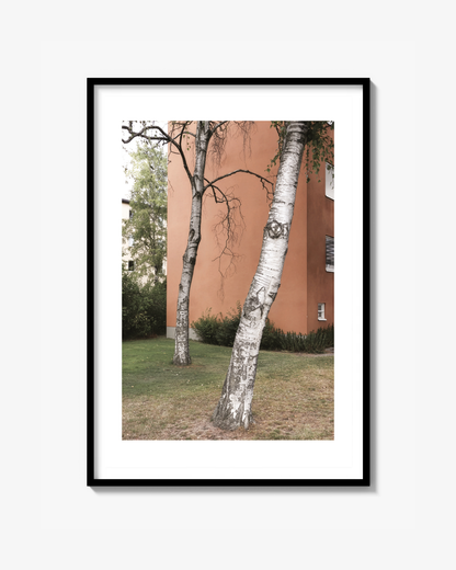 Birch Print