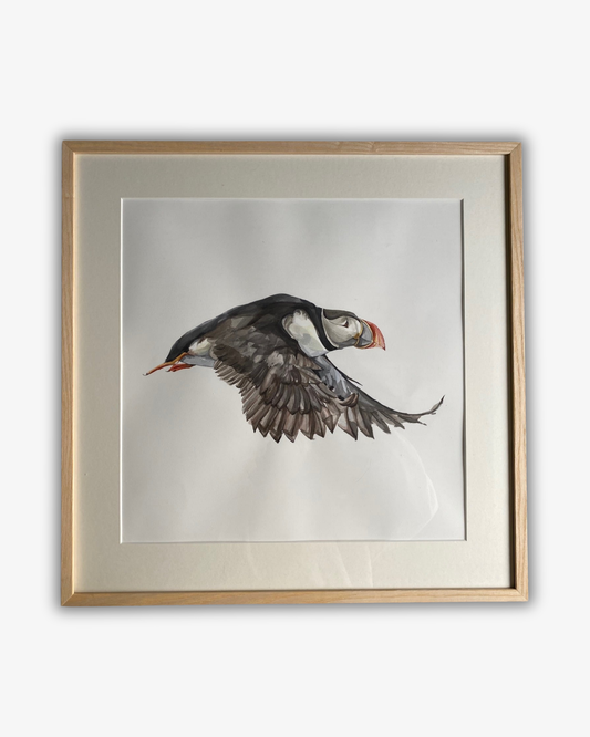 Akvarelmaleri Puffin Original