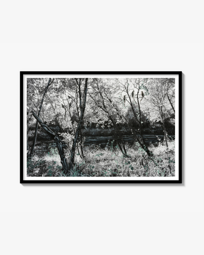 Faith in Birds (Landscape), Kunstkvalitet Poster