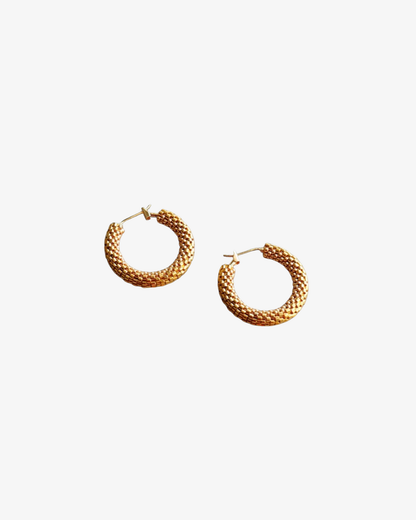 Golden Touch Earrings