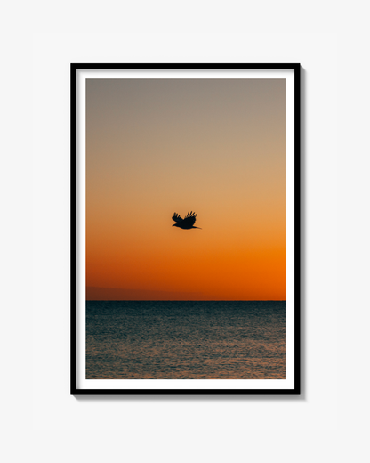Sunset Bird Print