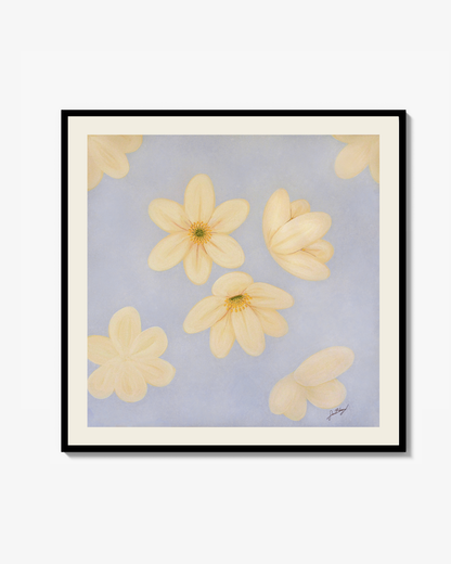 ANEMONE NEMOROSA - Poster