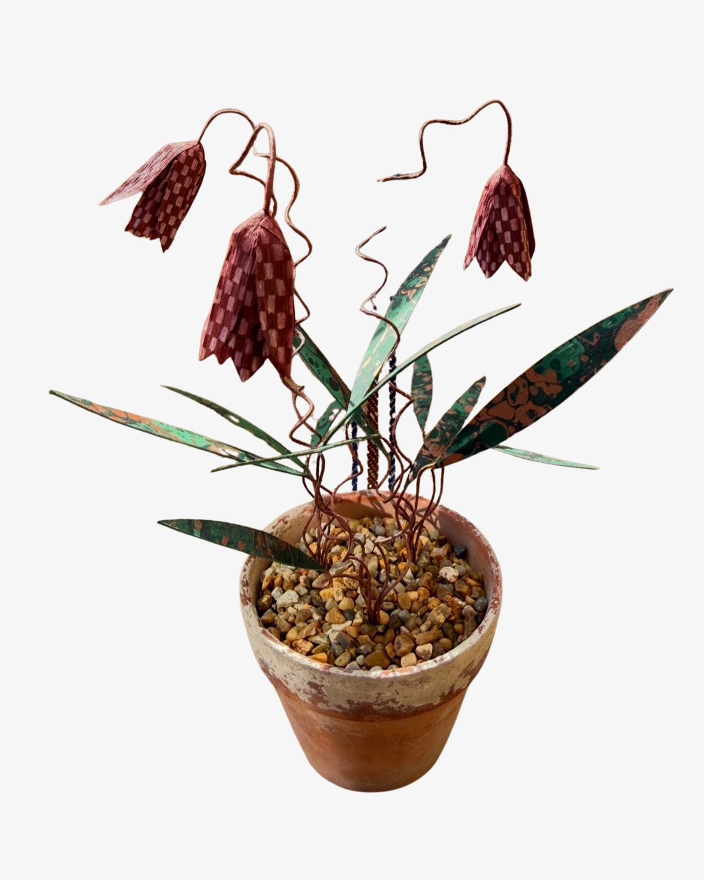 Fritillaria Houseplant Sculpture