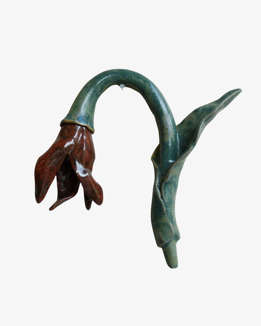 Wall Flower Three