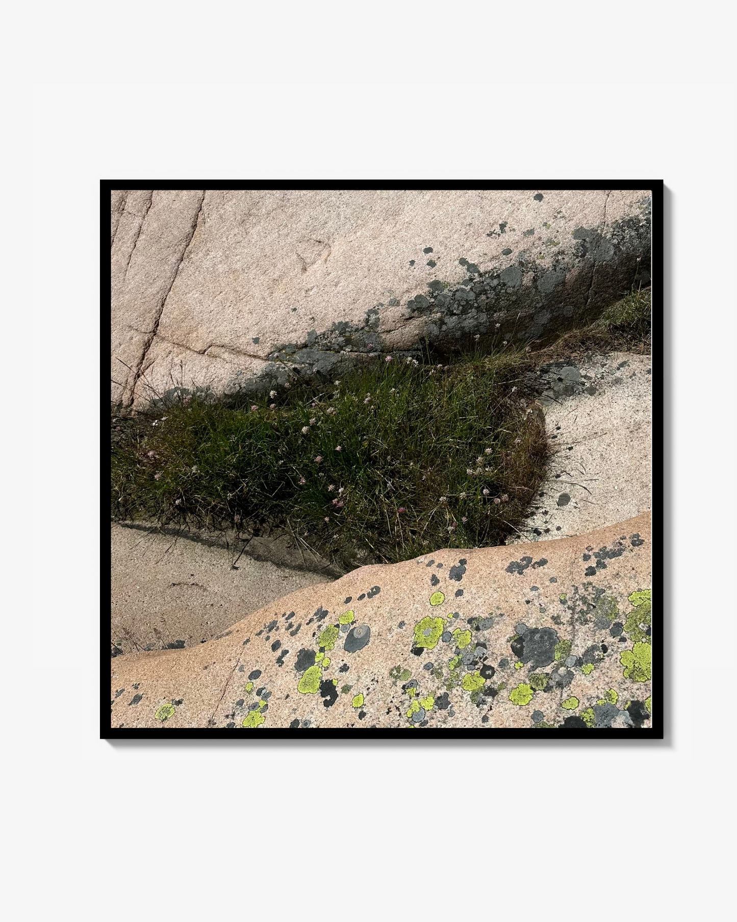 Mini Art Photograph Spotted mountain Poster