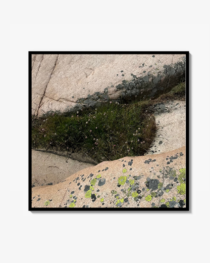 Mini Art Photograph Spotted mountain Poster