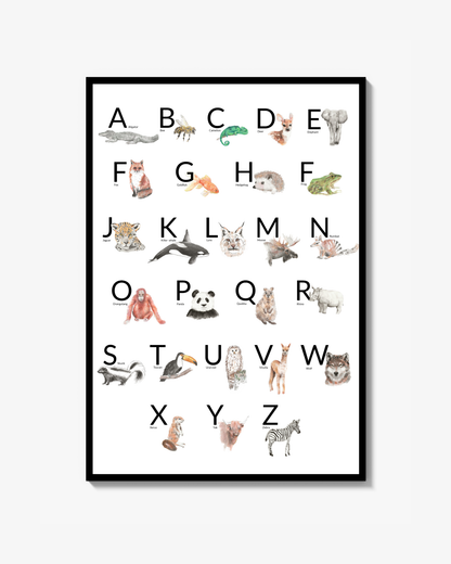 Animal Alphabet Poster English