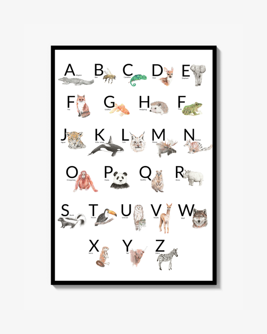 Animal Alphabet Poster English