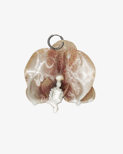 CREAMY ORCHID Ørering Rosa