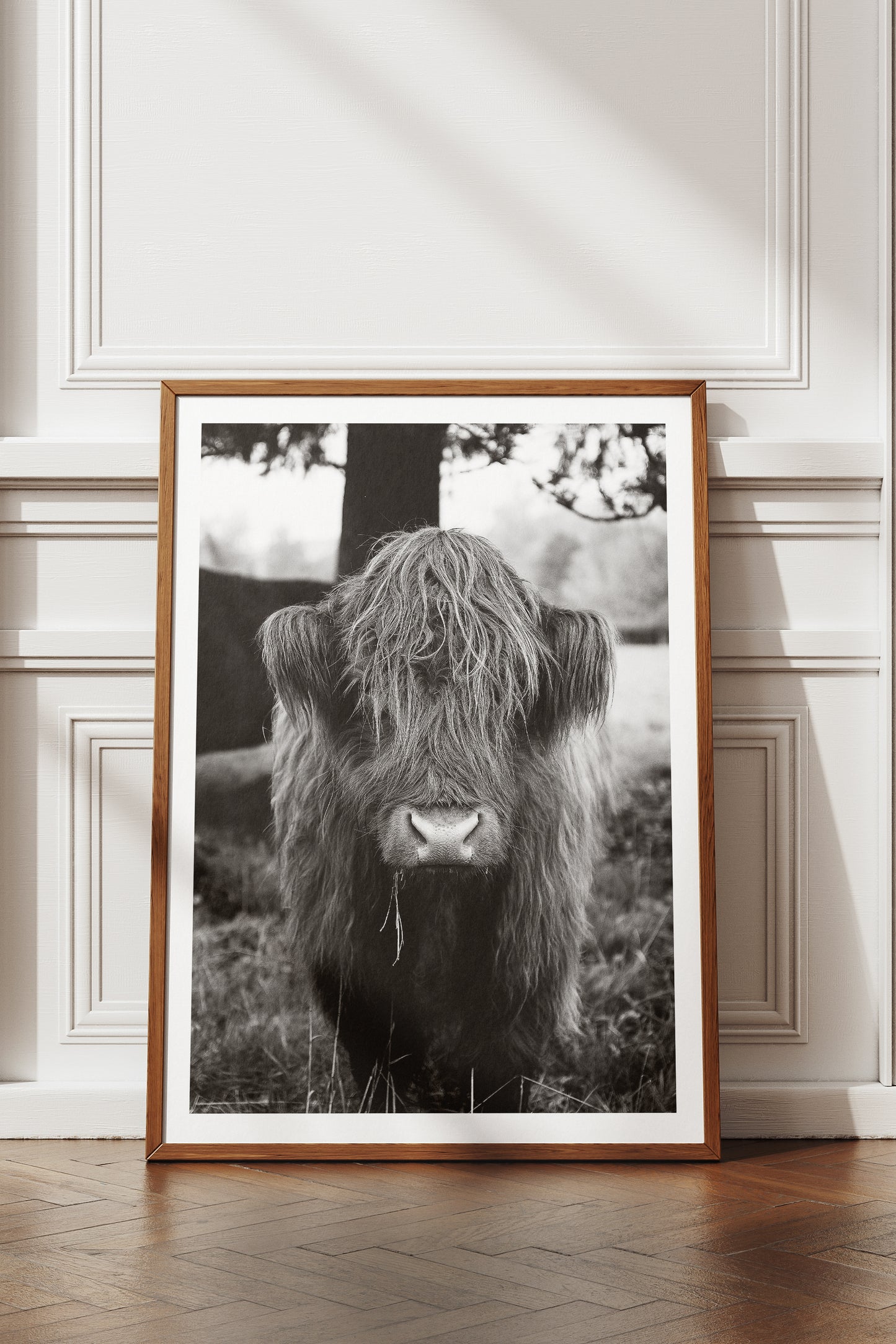 Highland Cattle Print