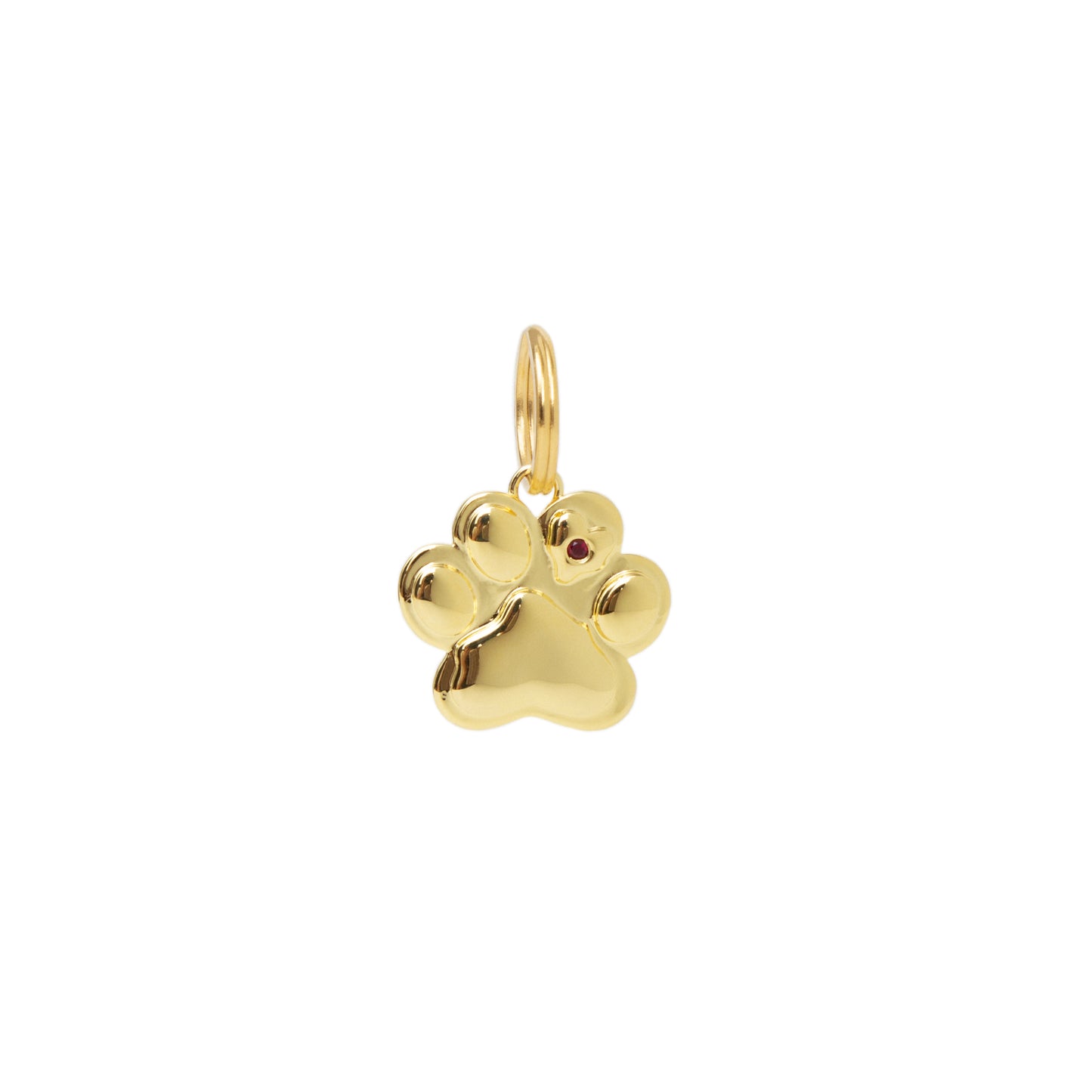 LIQUIFIED PAW Dog tag (Customizable)