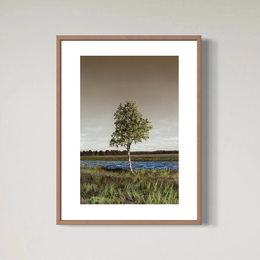 Birchy (Landscape), Art Quality Poster