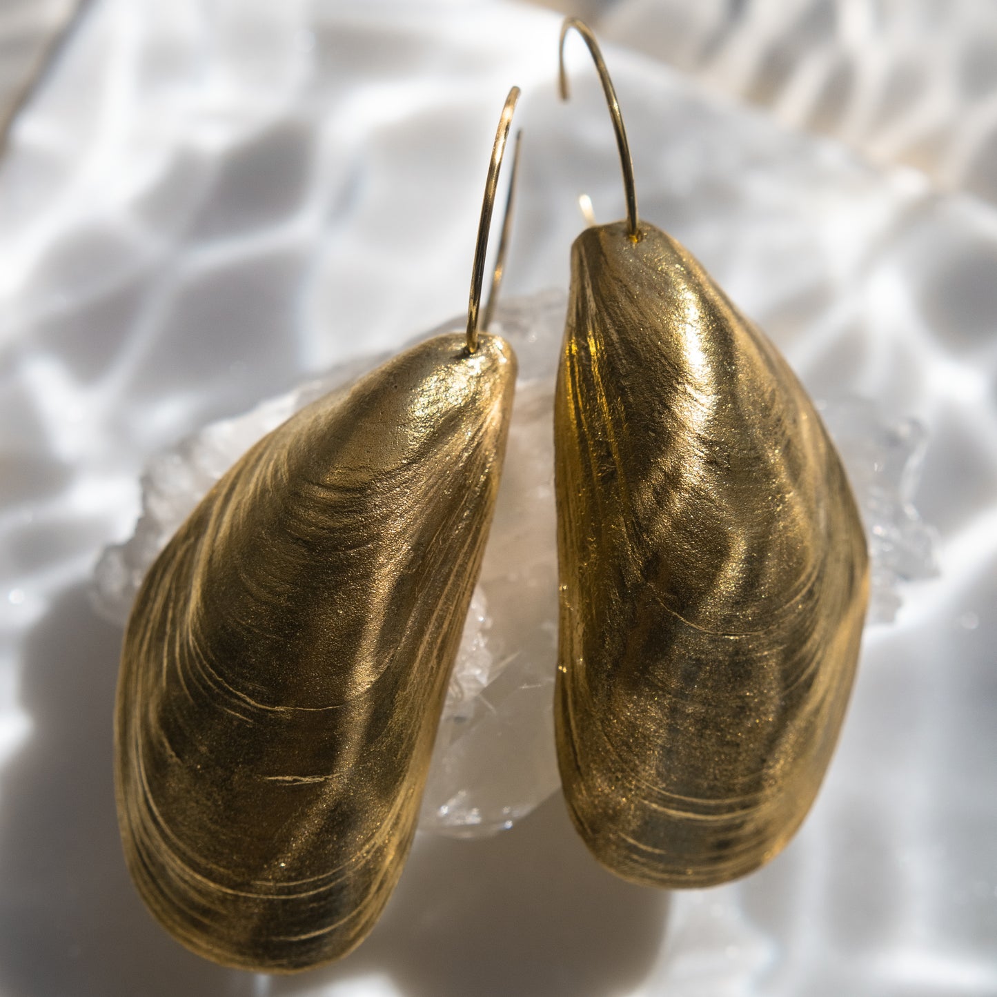 Mussell Shell earring