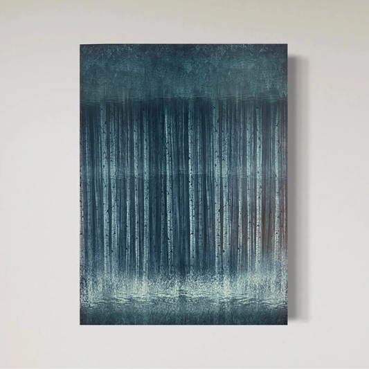 Birchland  - photocollage on acrylicglass  30x40 cm