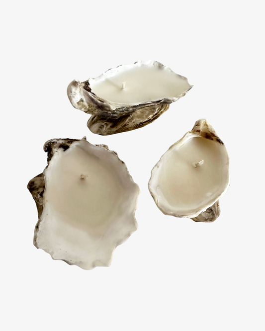 Oyster shell candle / Set of 3 Still Water