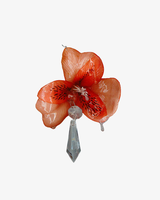 SOAKED ALSTROEMERIA ØRERING ORANGE