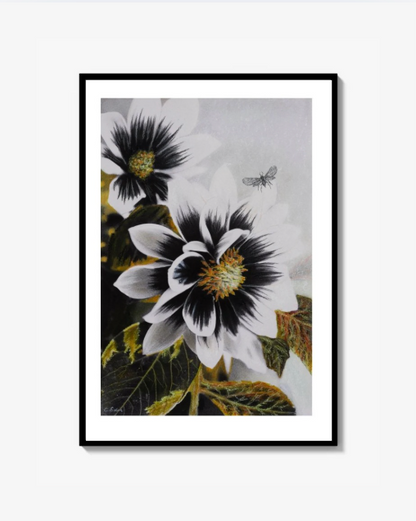 Dahlia Face (Florals), Art Quality Poster