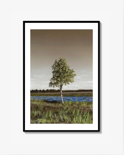 Birchy (Landscape), Art Quality Poster