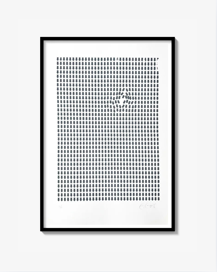 Chaos Fine Art Screen Print
