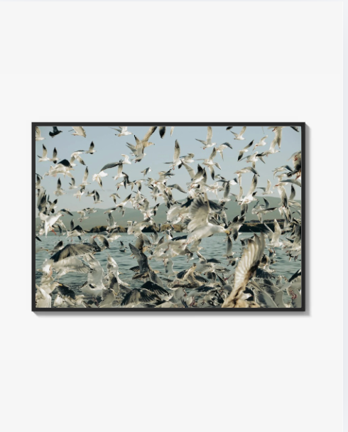 Boat trip in the north of Pacific Ocean Print