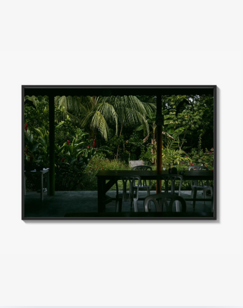 Silence of the Jungle Print
